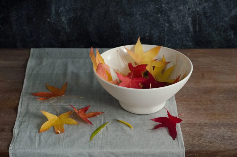 A porcelain bowl holding brightly coloured autumn leaves